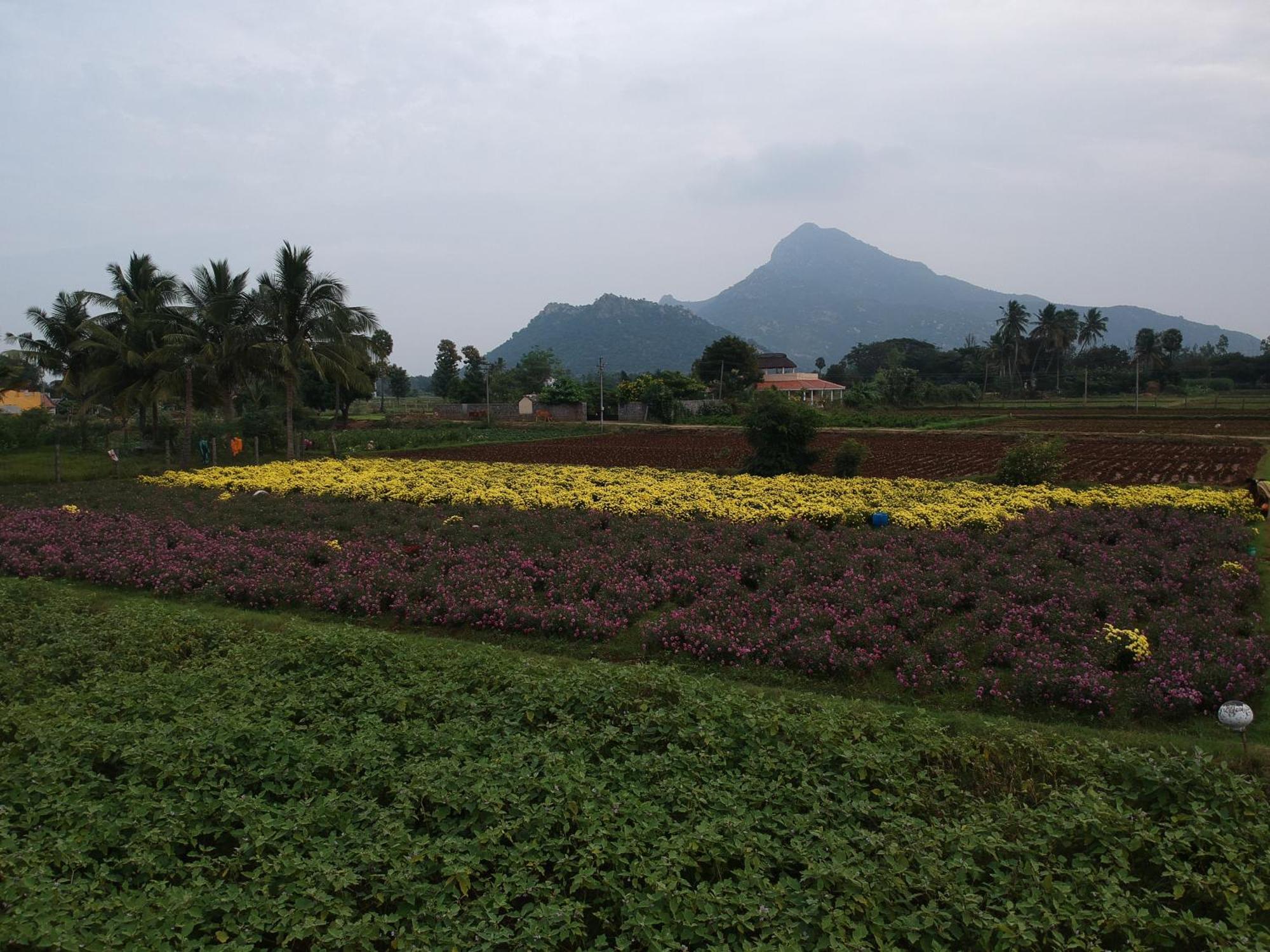 Rpm Home Stay Tiruvannāmalai Exterior foto